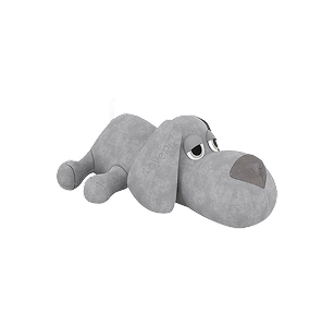 BondBuilders interactive toys designed for shared play between pets and owners