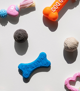 Happy pets playing with Cartomirro toys in a modern home setting